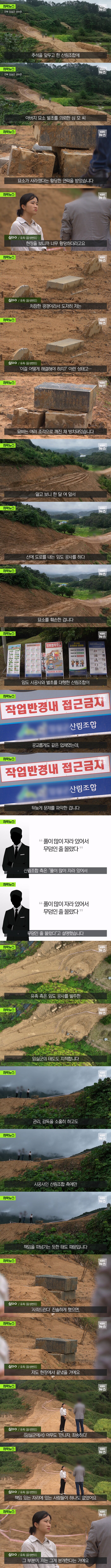 아버지 묘소가 사라졌다고 연락받은 사람_1.png