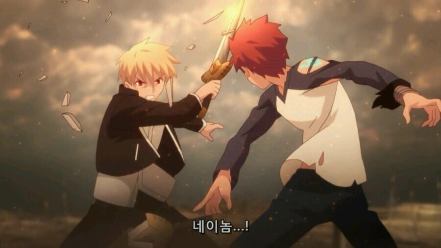 Fate)파벨은 개나 줬지만 아무도 태클 안거는 장면_1.jpg