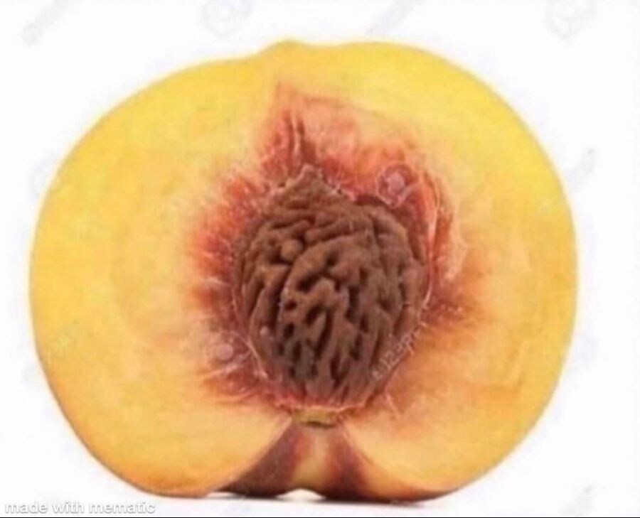 똥 쌀때 변기시점_1.jpg