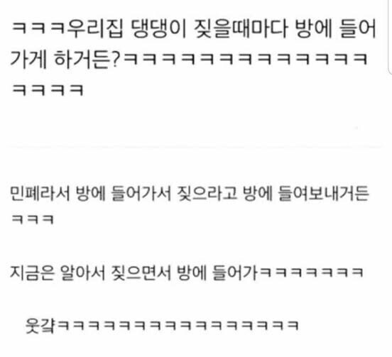 우리집 댕댕이 짖을때마다 방에 들어가게 하거든?_1.jpg