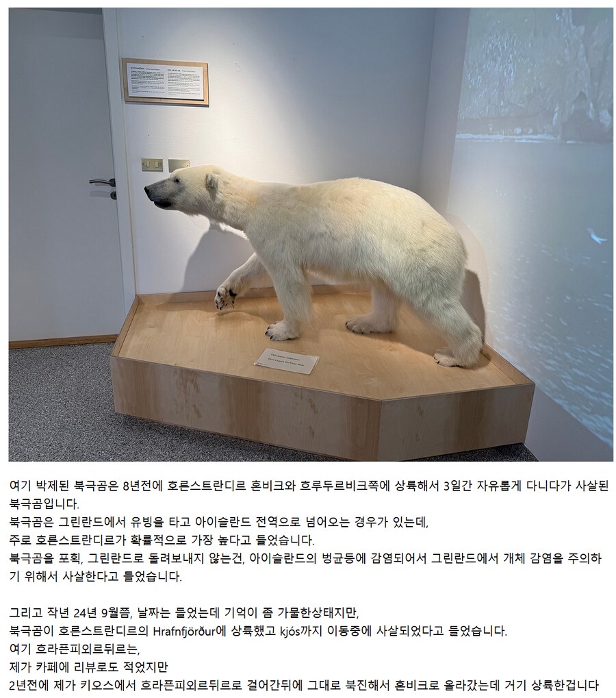 25년07월 나홀로 아이슬란드 (1) 이사피외르뒤르까지._12.png