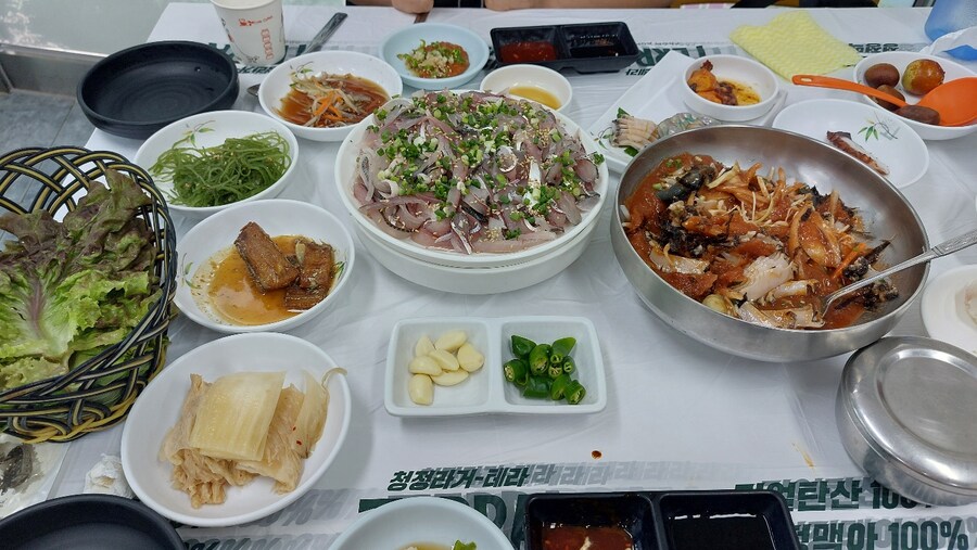 3시간동안 차달려서 시골 입구까지 갔다가 그냥 돌아온 바보가있다?_5.jpg