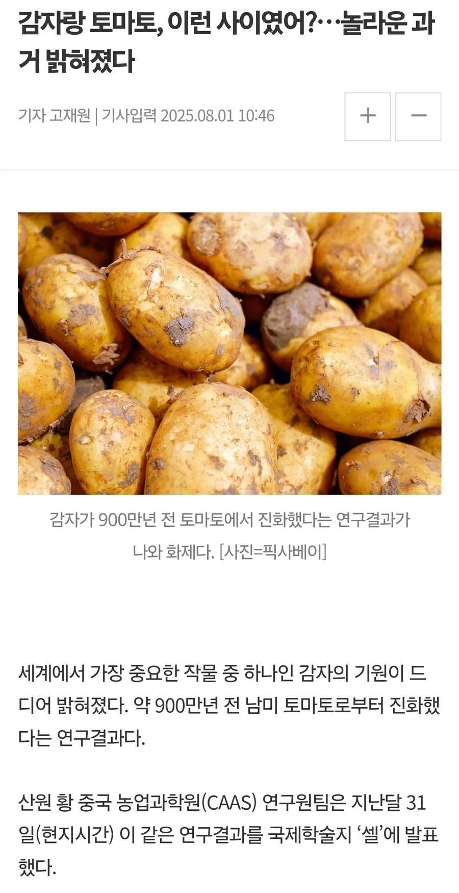햄버거 세트 시킬때마다 벌어지는 근친행위_1.webp