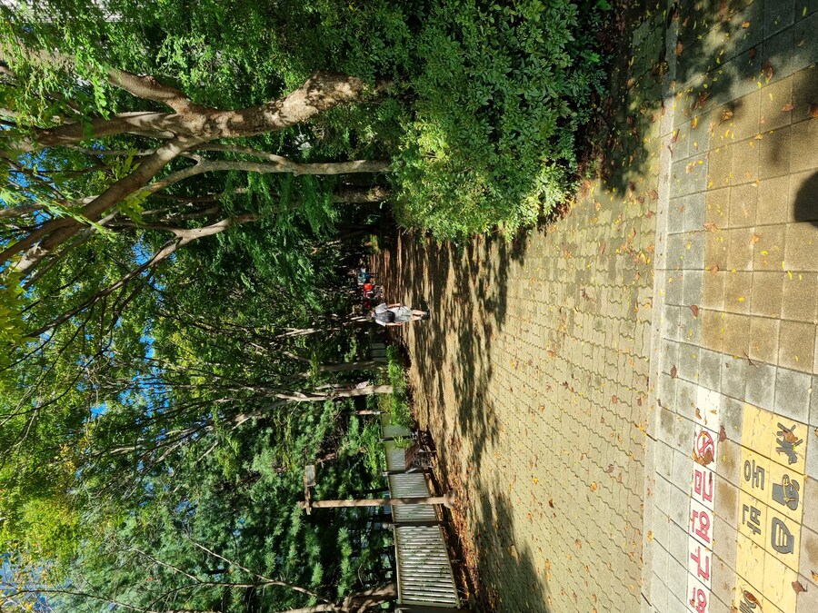 이치란보다는 어죽국수 일산 고봉산-풍산역 사이에 있던 한가어죽_2.jpg