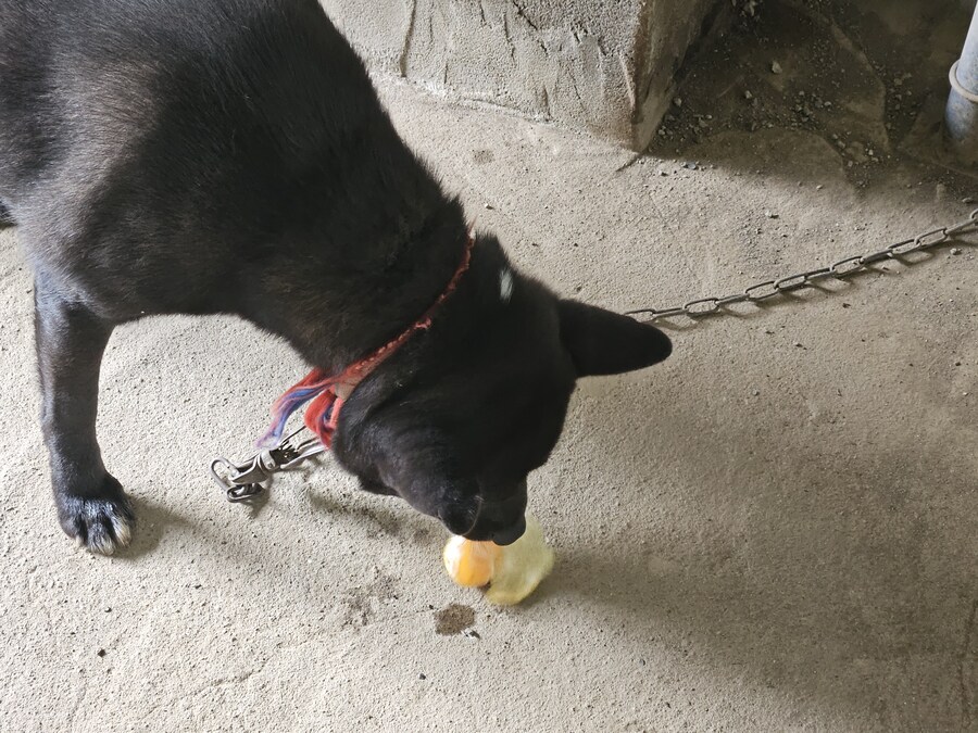 귤)집가고 싶다_7.jpg