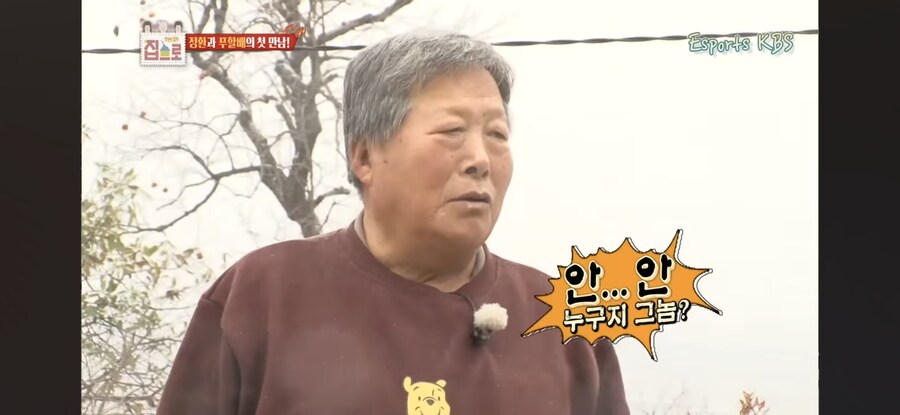 안정환도 모르면서 무슨 축구 얘기를 해_6.jpg