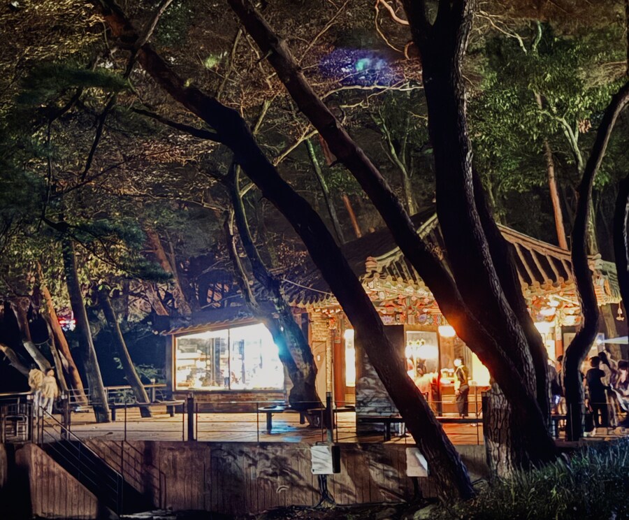 양산 통도사 미디어아트및 메밀꽃밭_7.jpg