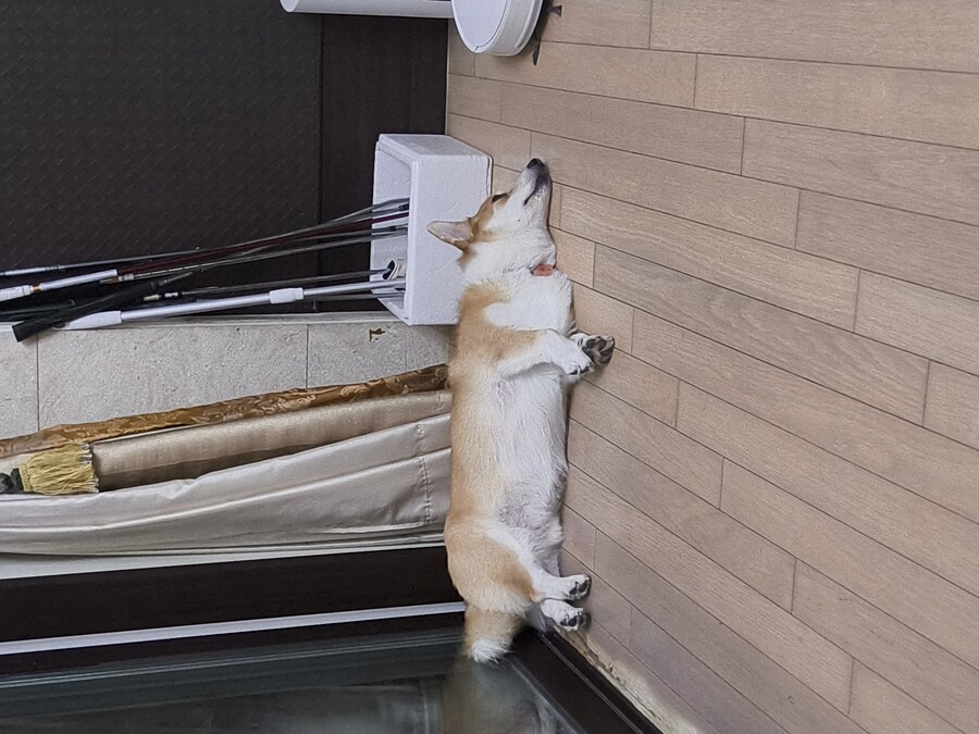 숨막히는 뒤태 미친 비율 ㅗㅜㅑ_2.jpg