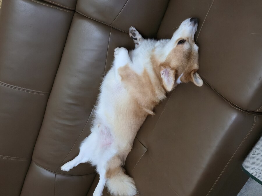 숨막히는 뒤태 미친 비율 ㅗㅜㅑ_4.jpg