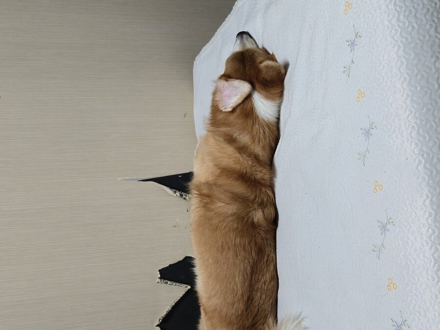 숨막히는 뒤태 미친 비율 ㅗㅜㅑ_13.jpg