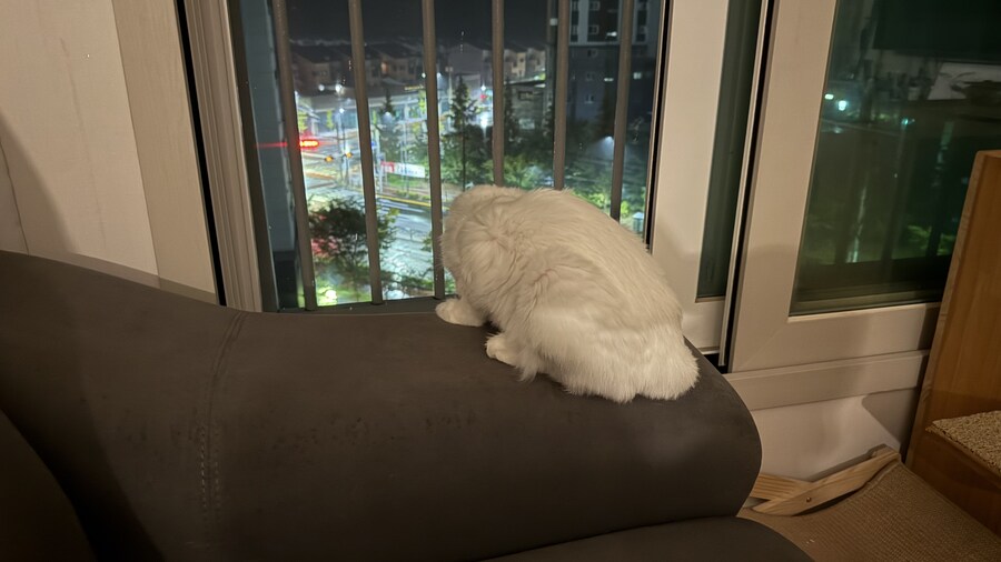 내가 가만히 생각해봤는데.._8.jpg