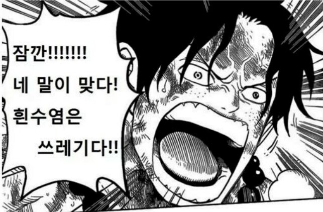 원피스)스포) 흰수염? 그놈은 지난시대의 빈대새끼였으니까 말이지_8.jpg