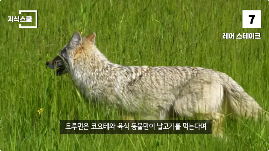 백악관 내부에서만 금지했던 식품 Top 10.jpg_51.jpg
