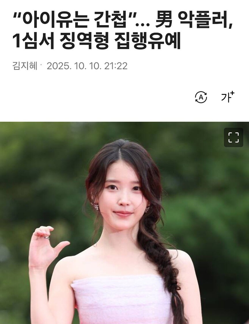 “아이유는 간첩”... 男 악플러, 1심서 징역형 집행유예_1.jpg