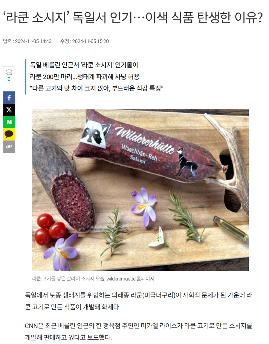 베글 보고 라쿤도 먹나 싶어서 찾아보니_1.png