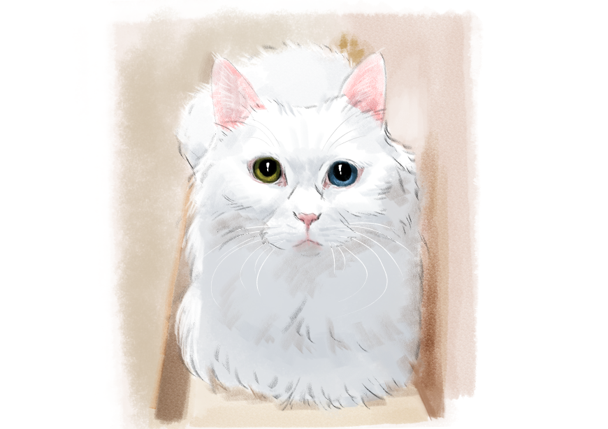고양이) 넘으집 고양이_1.png