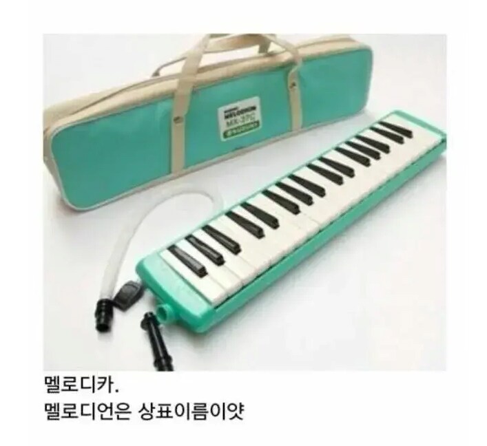 본명을 뺏겼다는 제품들_4.png