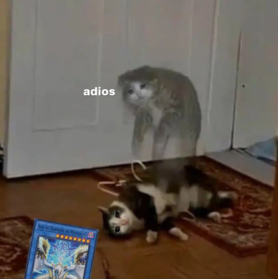 뭐하지_1.png