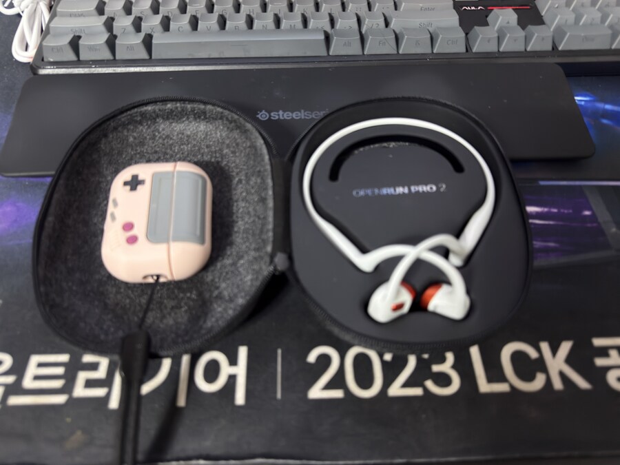 무선 이어폰은 두개이상 가지고 있는게 맞을까_1.jpg