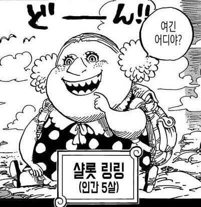원피스) 혈통 노력 열매 재능 다 부질없는 이유_1.jpg