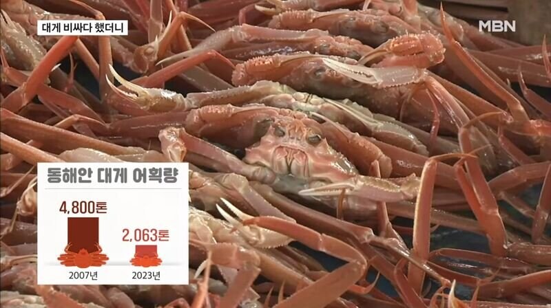 ??? : 크크크크크 암케녀석 비싸게 팔아주지..._3.jpg