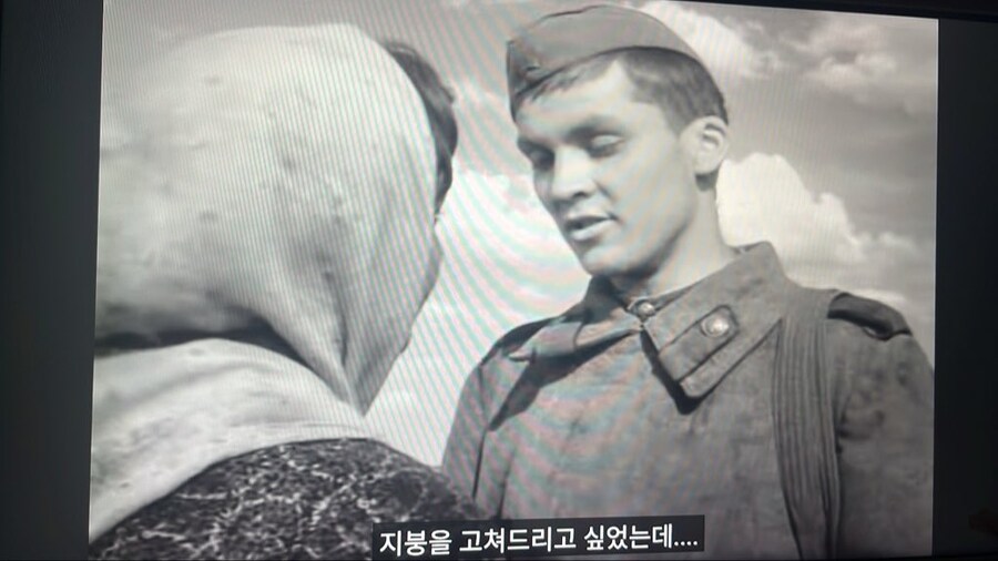 마키마가 보고 울었던 그 영화_4.jpg