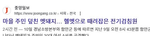 ???:전기로 지졌나?_1.jpg
