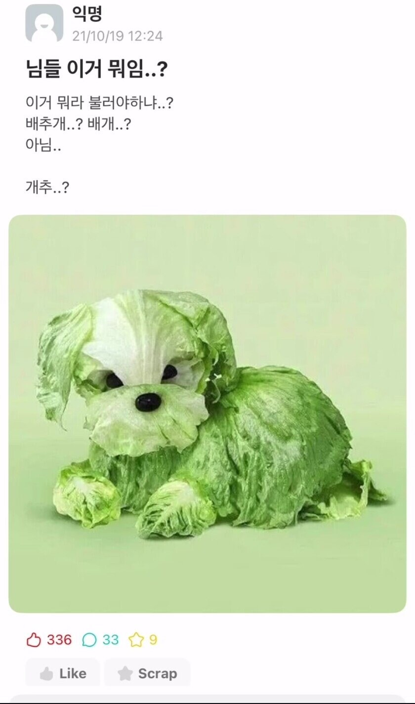 님들 이거 뭐라고 불러야함?.jpg_1.jpg