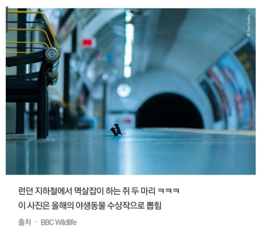 노벨상에 뒤지지않는 유게문학상 수상작_1.jpg