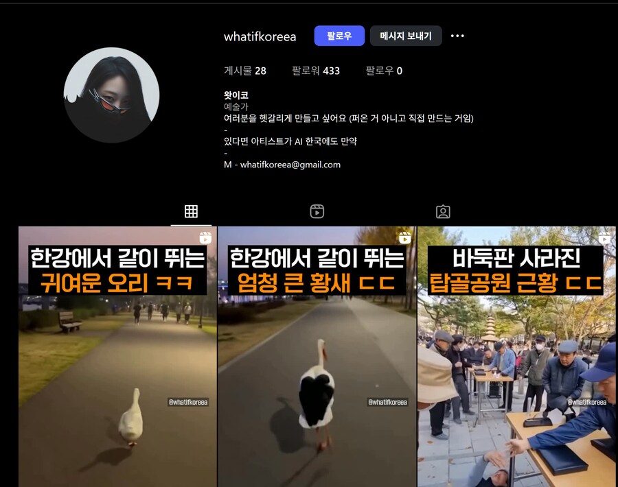 베스트에 있는 한강에서 런닝 뛰는 황새는 진짜 일까?_1.png