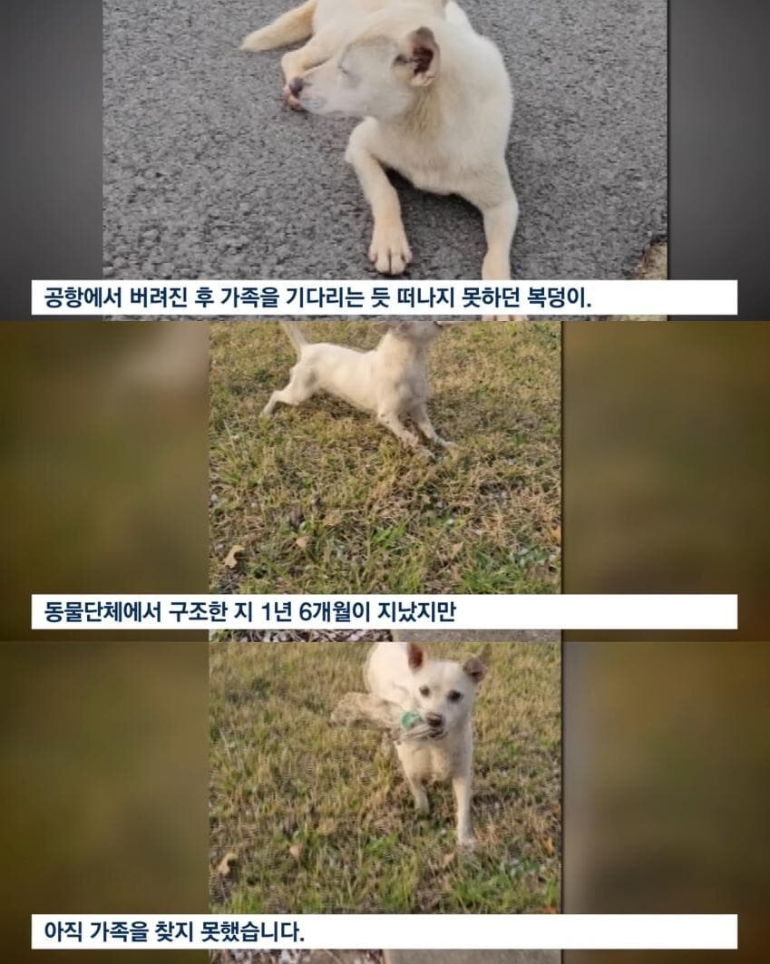 이번 추석에도 반복되는 쓰레기짓_1.jpg