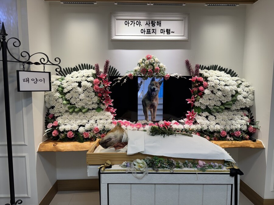 왜 끝까지 함께 해주지도 못할꺼면서_1.jpg