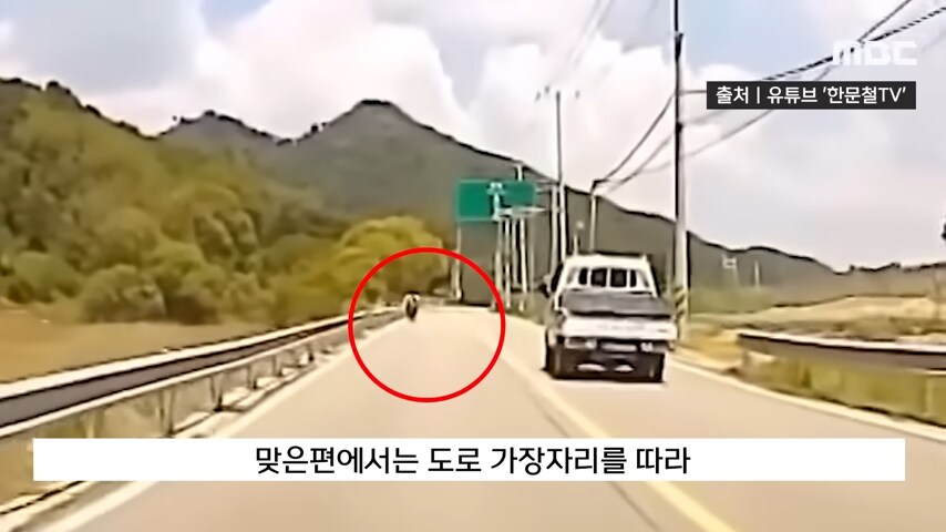 대한민국에서 역주행으로 사람 죽이고 받는 처벌 수위_5.png