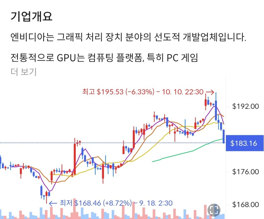 대장주 엔비디아 근황_1.jpg