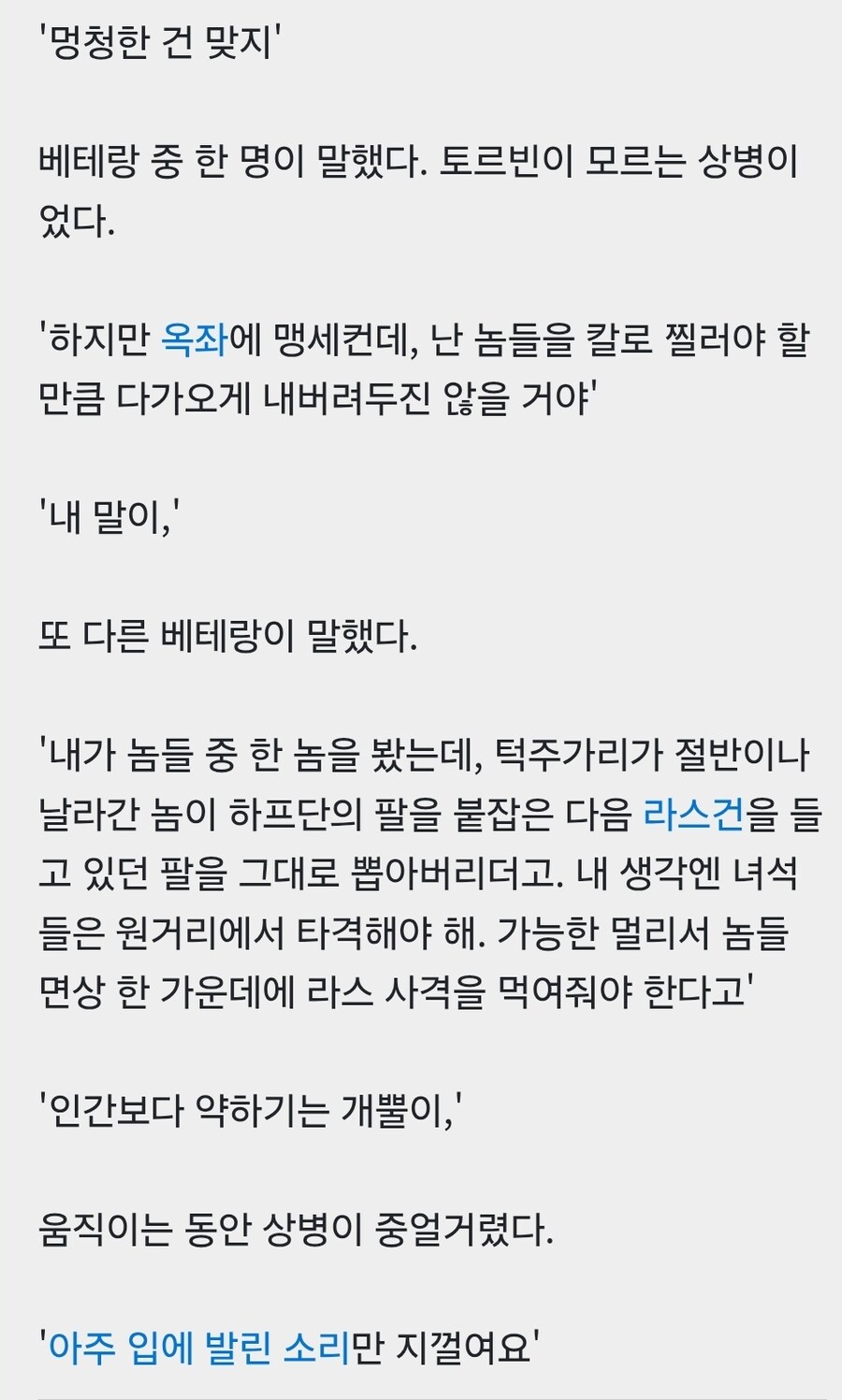 병사수첩에 적힌 오크를 상대하는 방법.JPGIF_3.jpg