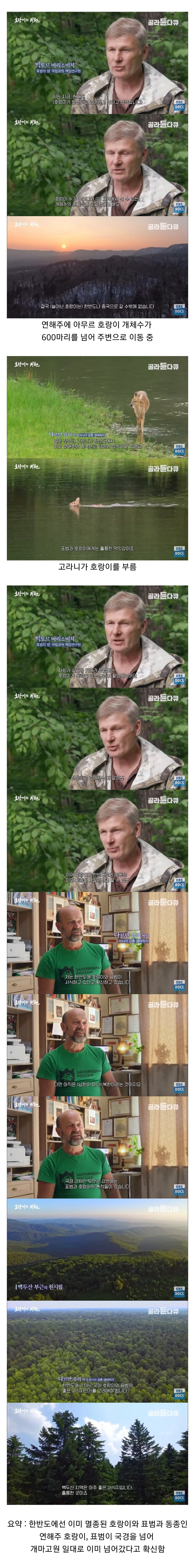 한반도로 돌아오고 있는 맹수들_1.jpg