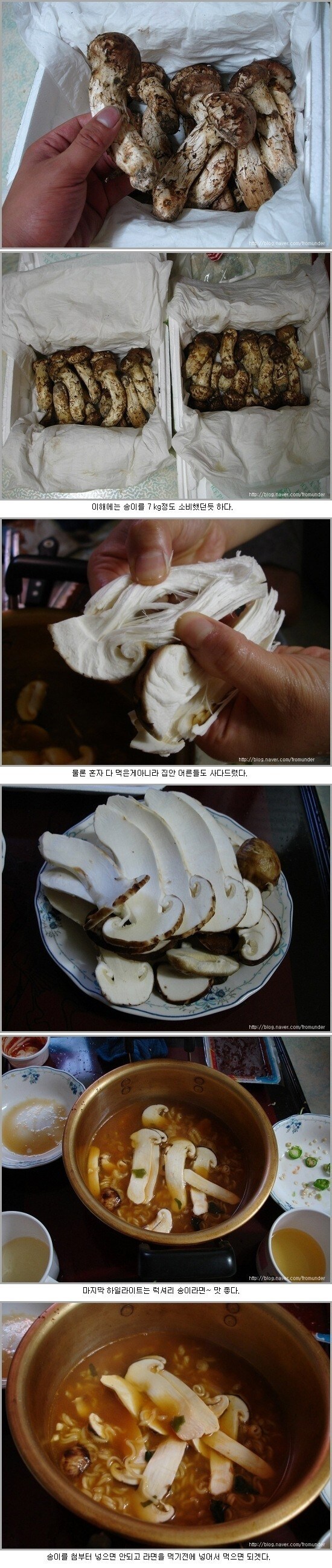 의외로 유명한 송이버섯 먹는 방법.jpg_1.png
