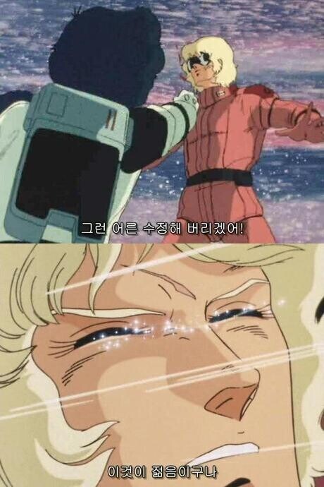 건담)서른도 안된놈이 젊음 운운하는 이유_1.jpg