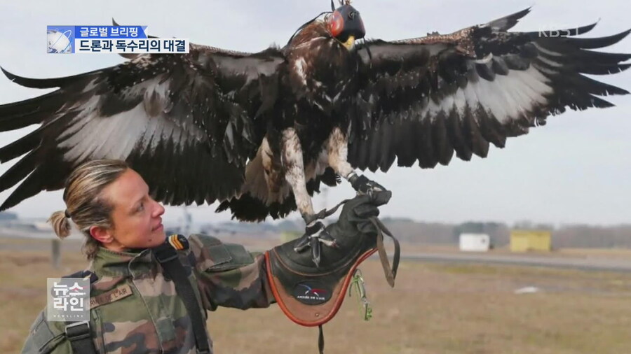 의외로 대드론 병기로 잠깐 운용 했던 것_3.jpg