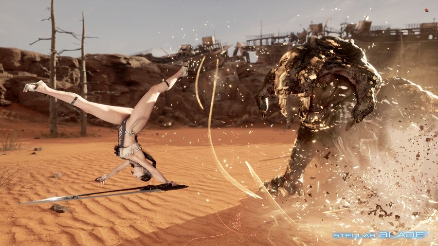 별로 영양가없는 전투 포토모드 미세팁(회피)_1.jpg