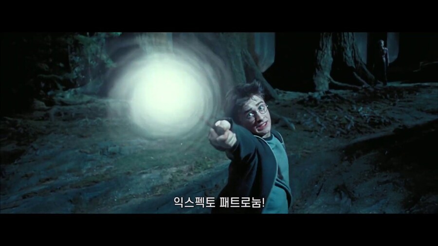 해리포터)불의 잔이 부정임에도 해리포터를 선택한 이유_3.jpg