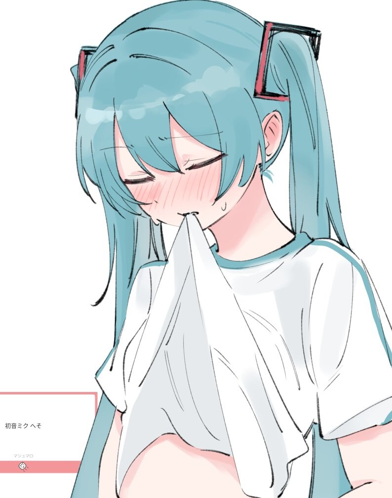 보컬로이드)미쿠 배꼽을 요청한 사람.jpg_1.jpg