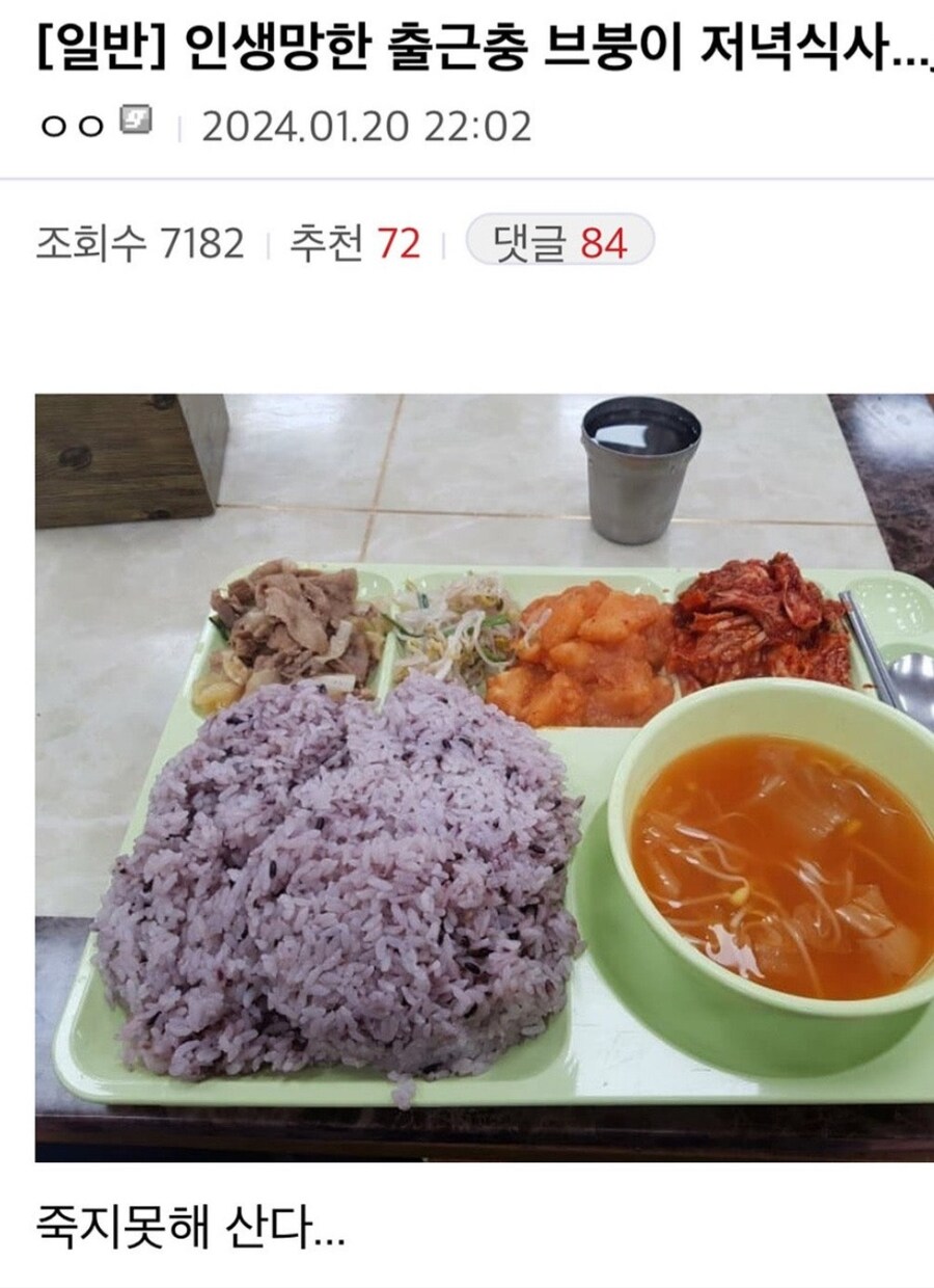 남들보다 2배의 인생을 살고있다는 갤붕이_1.jpg