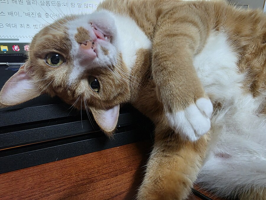 귀염둥이 양복_5.jpg