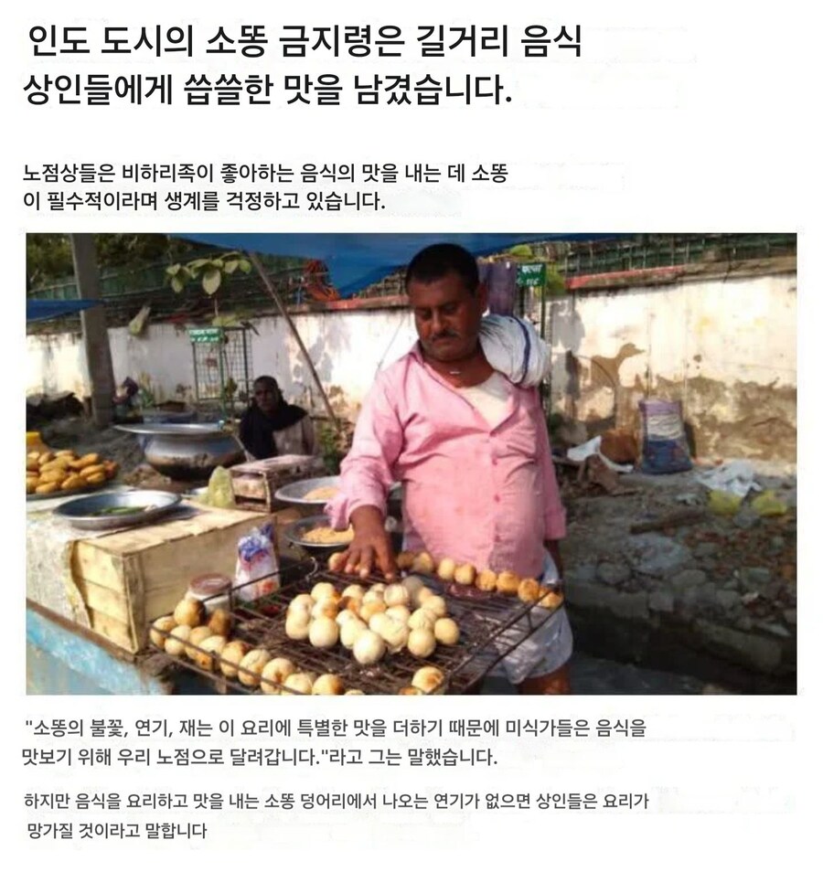 린도 요리에서 카우-푸를 연료로 쓰는 이유_2.jpg