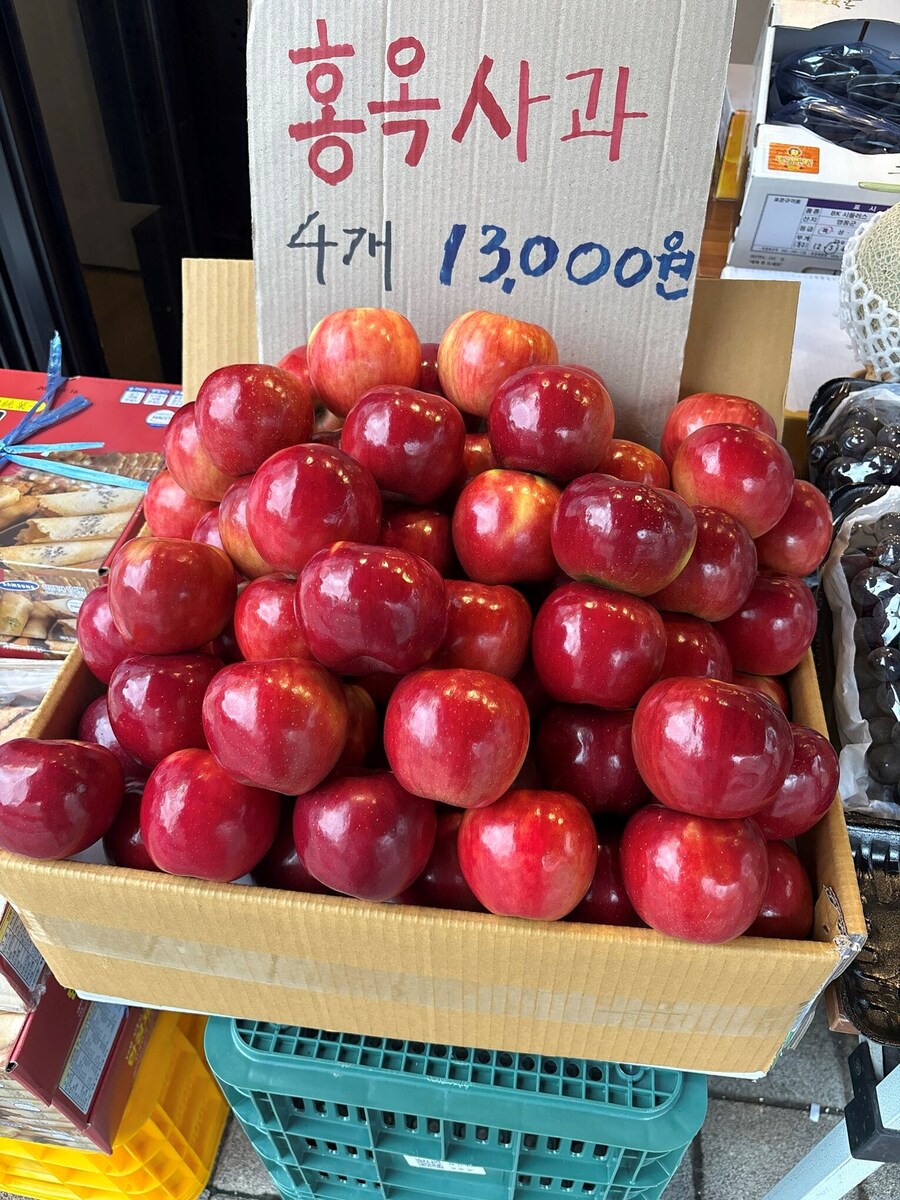 [사진] 정말 맛있어 보이는 사과_1.jpg