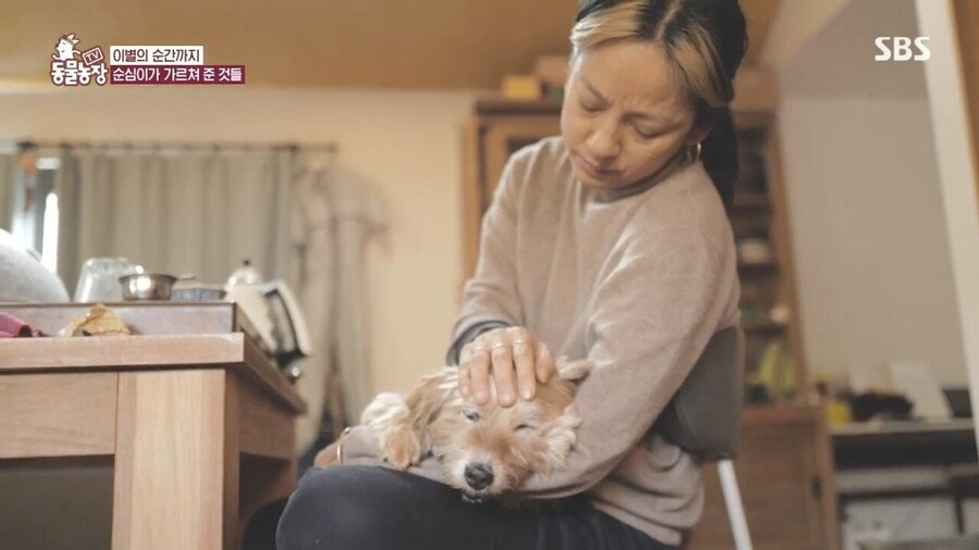 반려견이 곧 떠난다는 걸 직감하는 순간_9.jpg