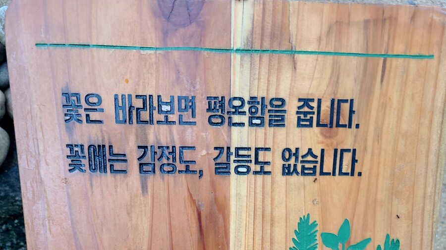 꽃에는 감정도,갈등도 없덴다. 말도 안되는 소리하고 있냐_1.jpg