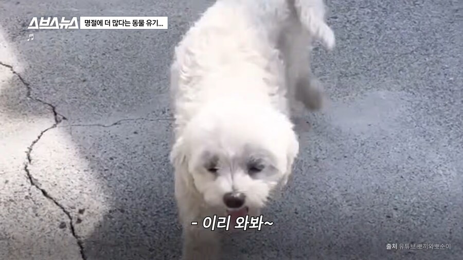 의외로 매년 명절 연휴마다 무너진다는 인류애_4.png