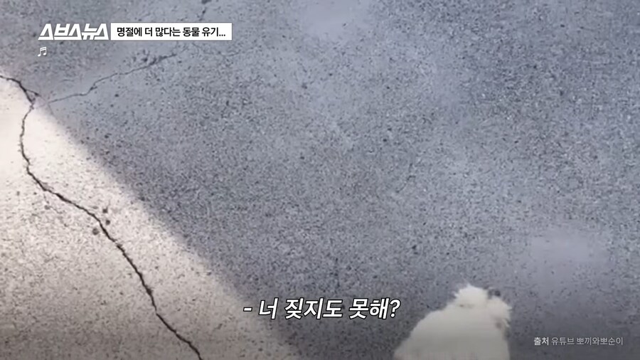 의외로 매년 명절 연휴마다 무너진다는 인류애_5.png